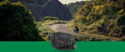 Motor BOSCH Performance PX